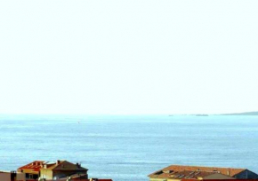 Гостиница Appartement Vue Mer Corse Sud  Проприано